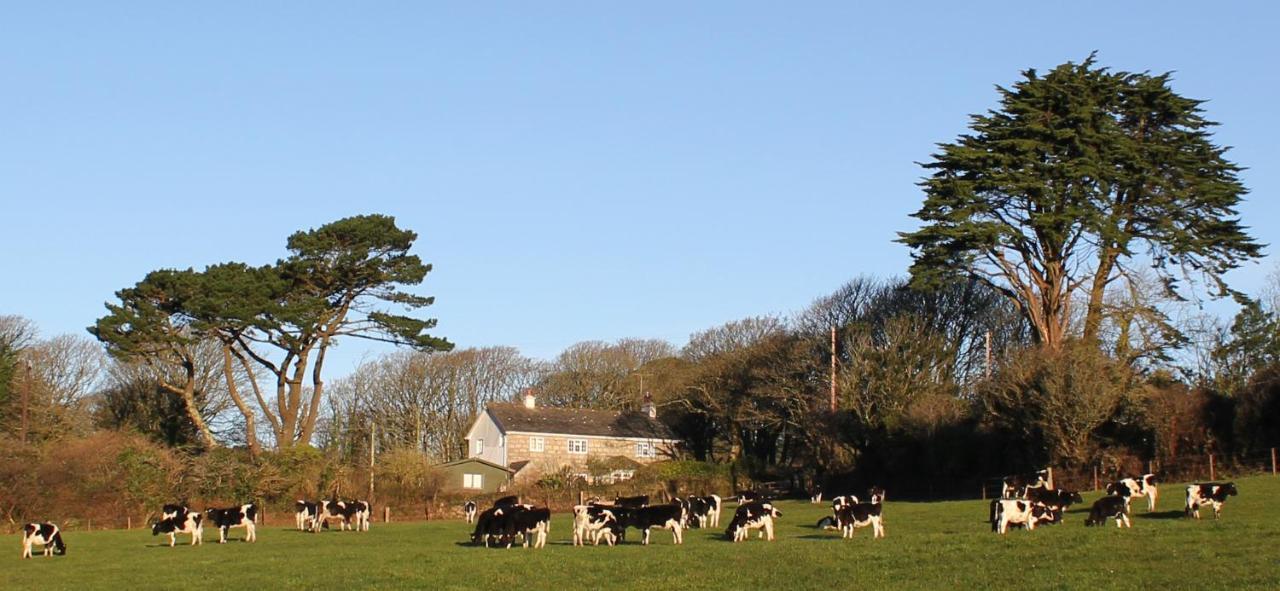 Coombe Farmhouse Bed and Breakfast St Ives Eksteriør billede