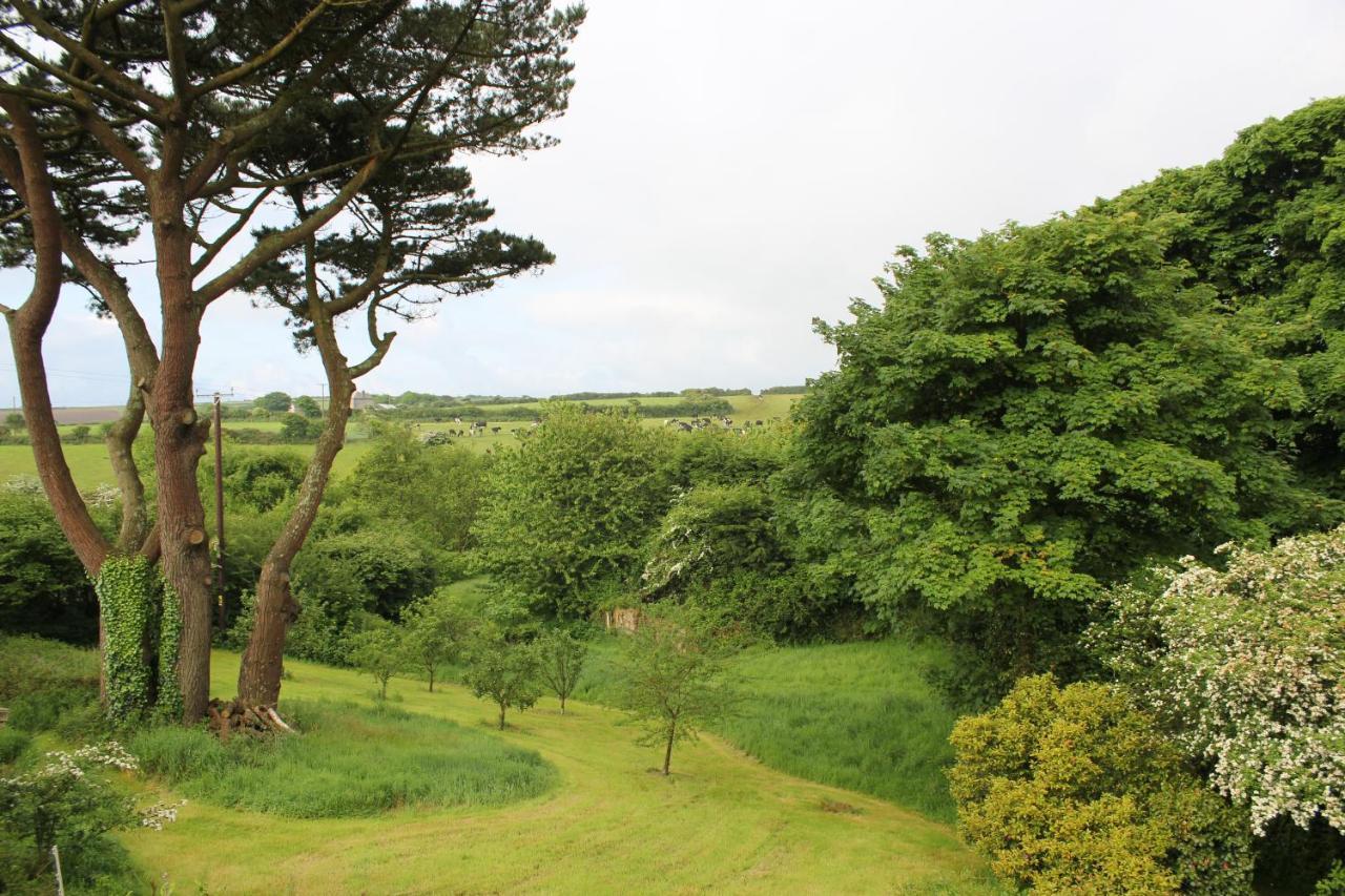 Coombe Farmhouse Bed and Breakfast St Ives Eksteriør billede